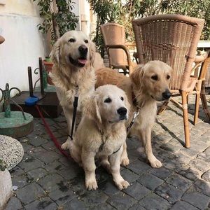 Meet your Posher, Brooke